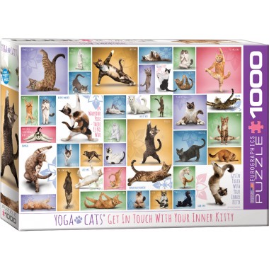Eurographics 1000 - Yoga cats