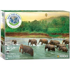Eurographics 1000 - Rainforest