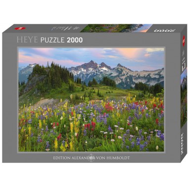 Heye 2000 - Tatoosh Mountains