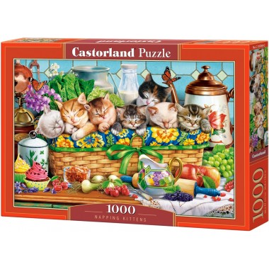 Castorland 1000 - Napping kittens