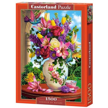 Castorland 1500 - A colorful idyll
