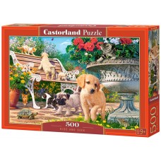 Castorland 500 - A game of hide and seek
