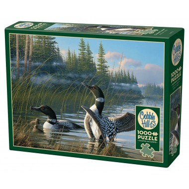 Cobble Hill 1000 - Black-throated divers