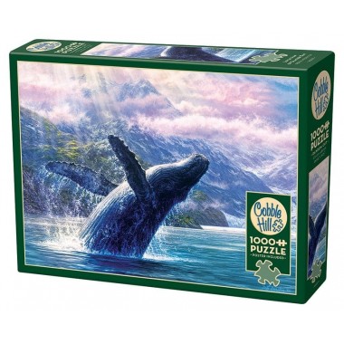 Cobble Hill 1000 – Leviathan from Glacier Bay