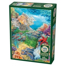 Cobble Hill 1000 – Life in the Reefs