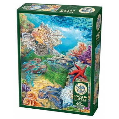 Cobble Hill 1000 – Life in the Reefs