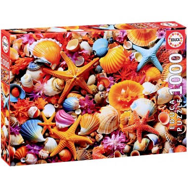 Educa 1000 - Seabed