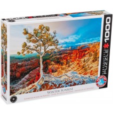 Eurographics 1000 - Sunrise in winter