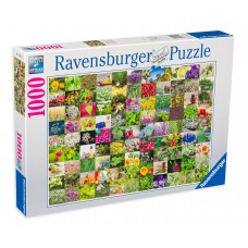 Ravensburger 1000 - Herbs and spices 2