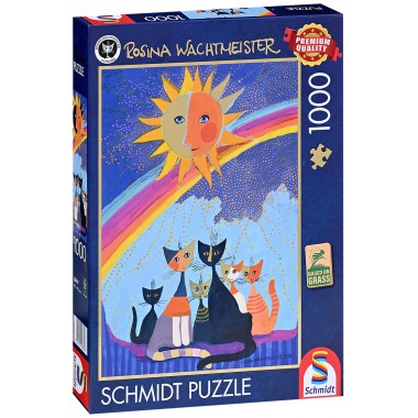 Schmidt 1000 - Under the rain
