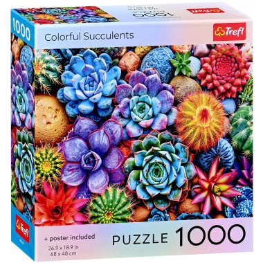 Trefl 1000 - Colorful succulents